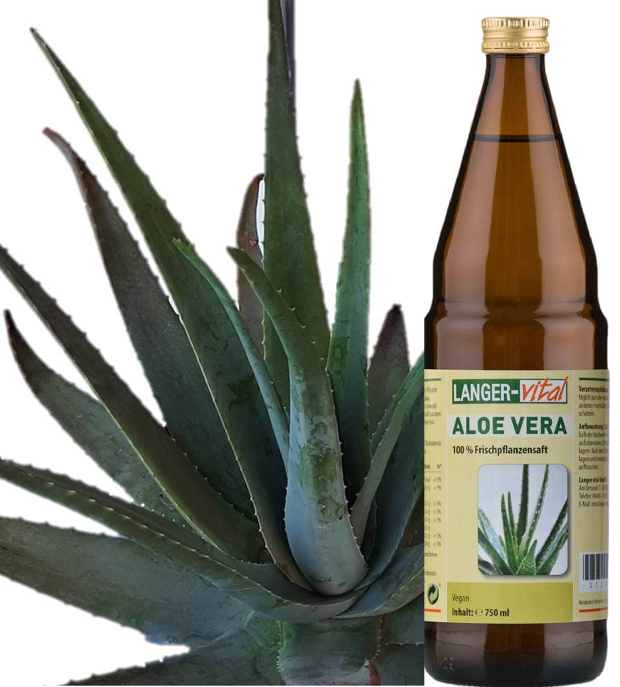 Aloe Vera 100 % Frischpflanzensaft, 750 ml